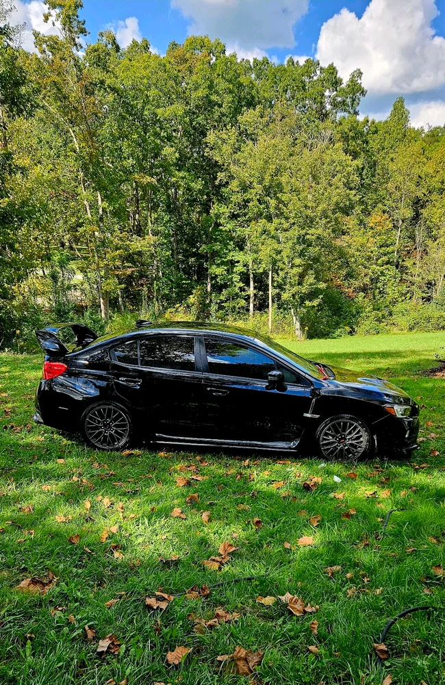 Gambar diunggah dening Silvia