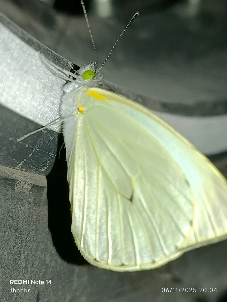 GIF subido por Jonathan Guerrero