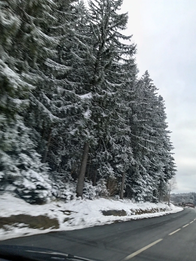 Image ajoutée par Florian