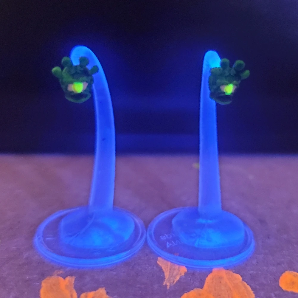 Image uploaded by Corey