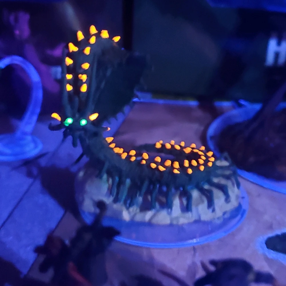 Image uploaded by Corey