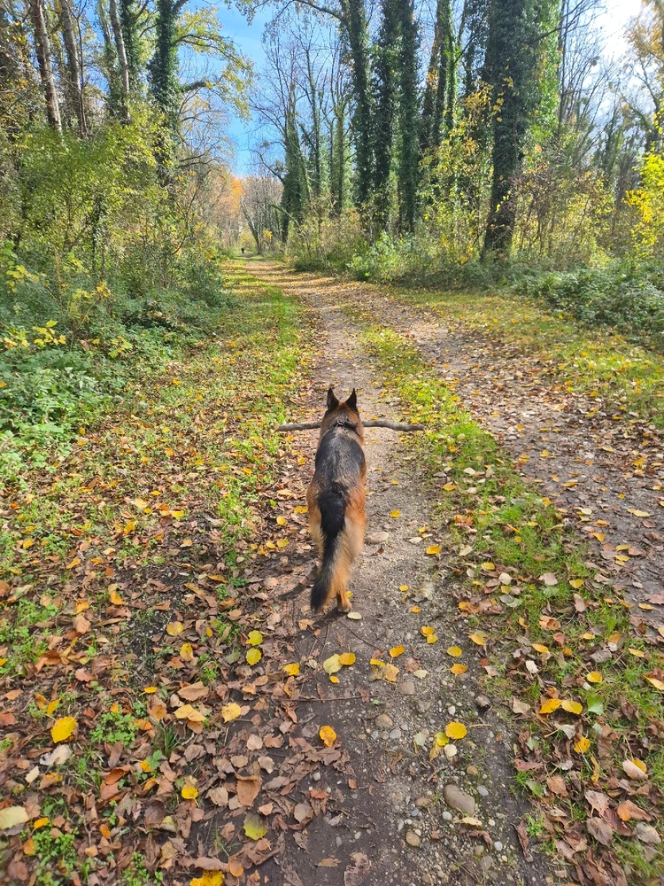 Sliku je učitao/la Luka