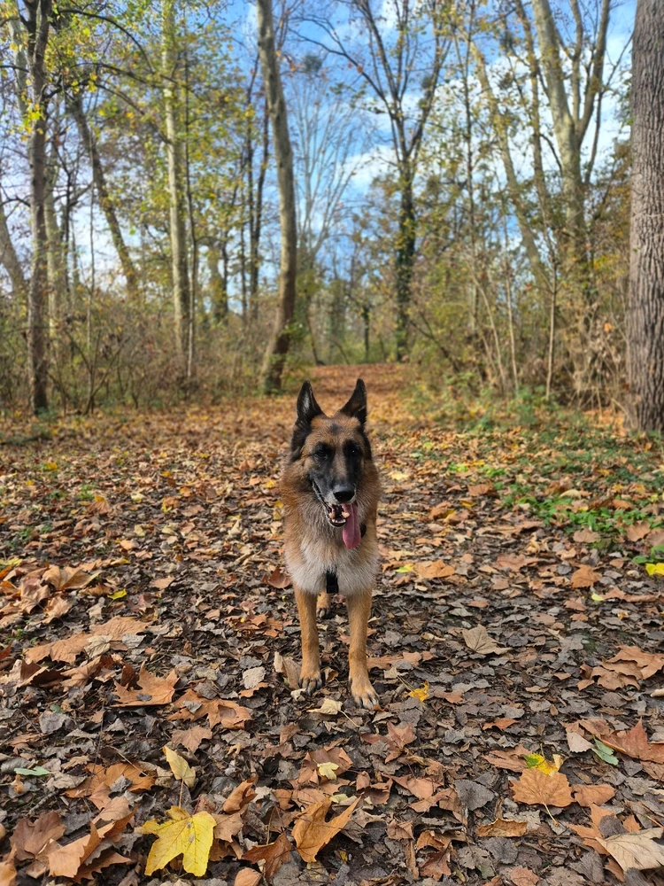 Sliku je učitao/la Luka