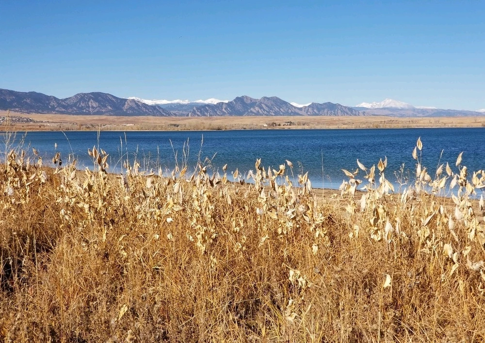 GIF uploaded by Chani