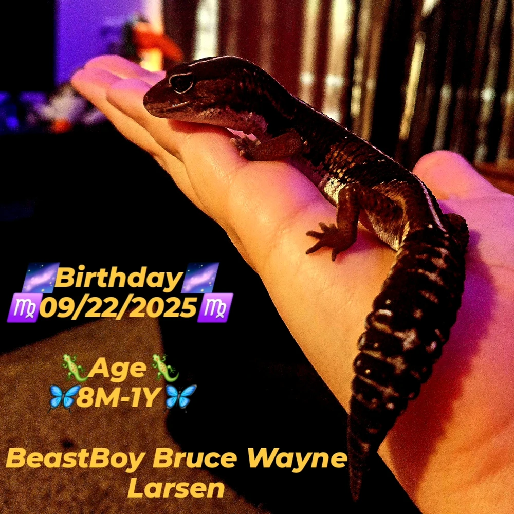 GIF diunggah dening Porsche’ FRIENDS ONLY