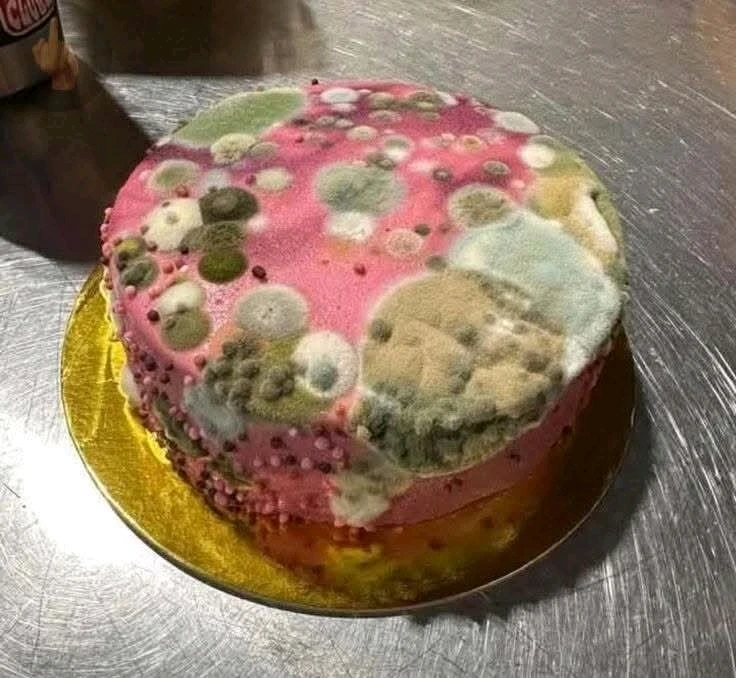 GIF ajouté par Stephe