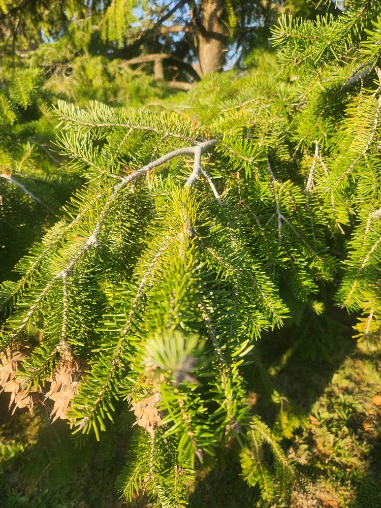 Image uploaded by Sean