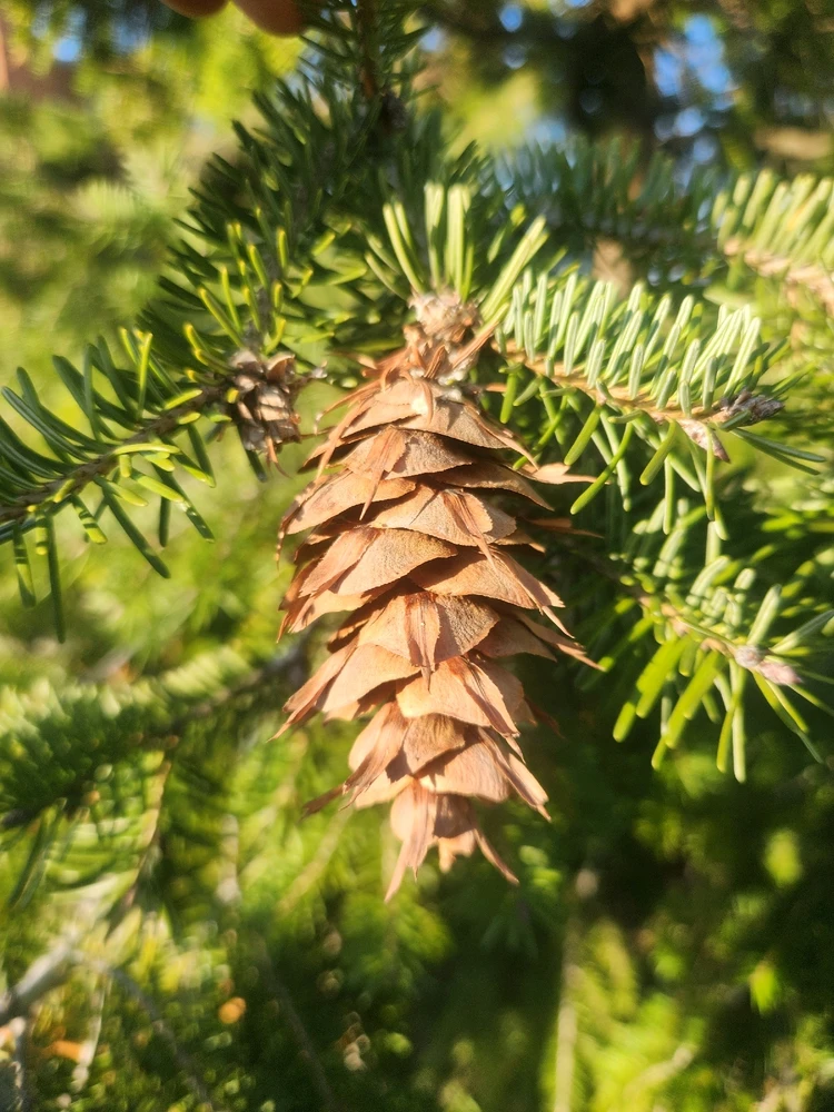 Image uploaded by Sean