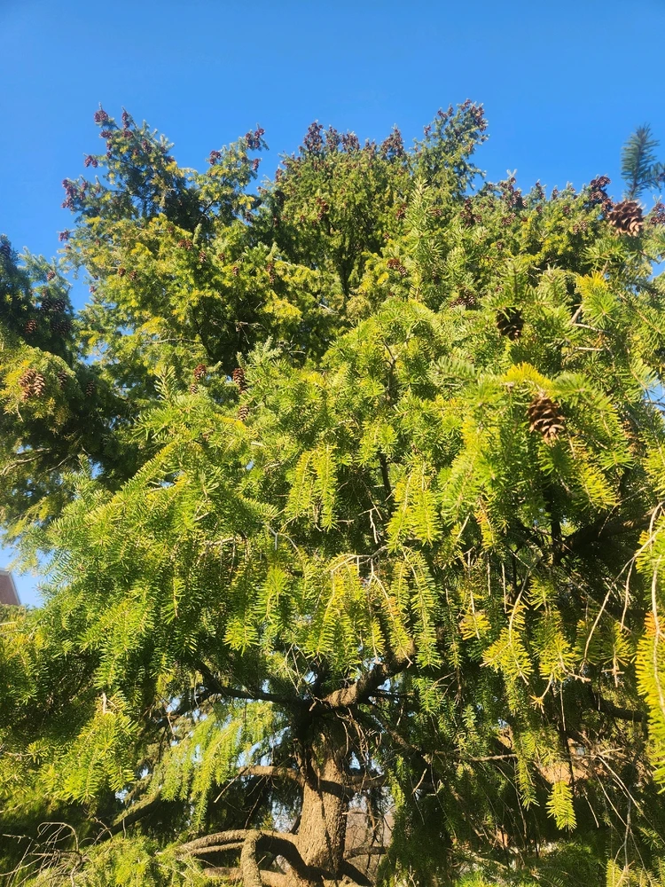 Image uploaded by Sean