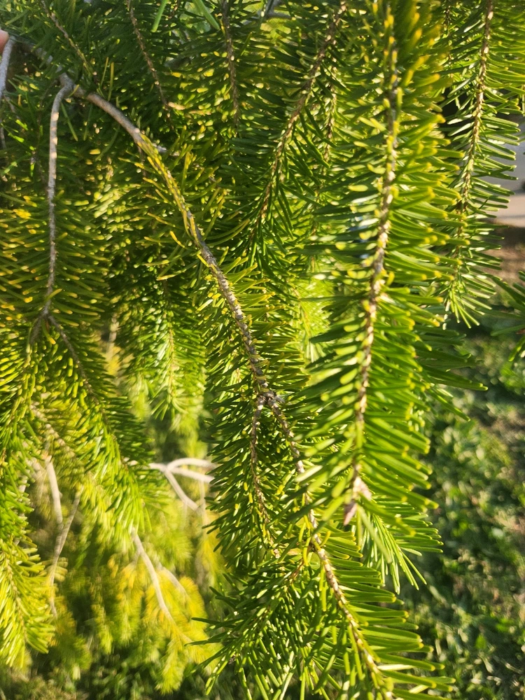 Image uploaded by Sean