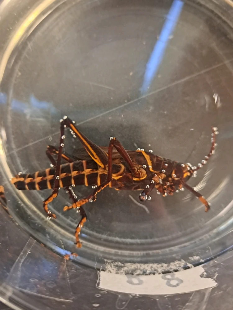 GIF uploaded by Dakota