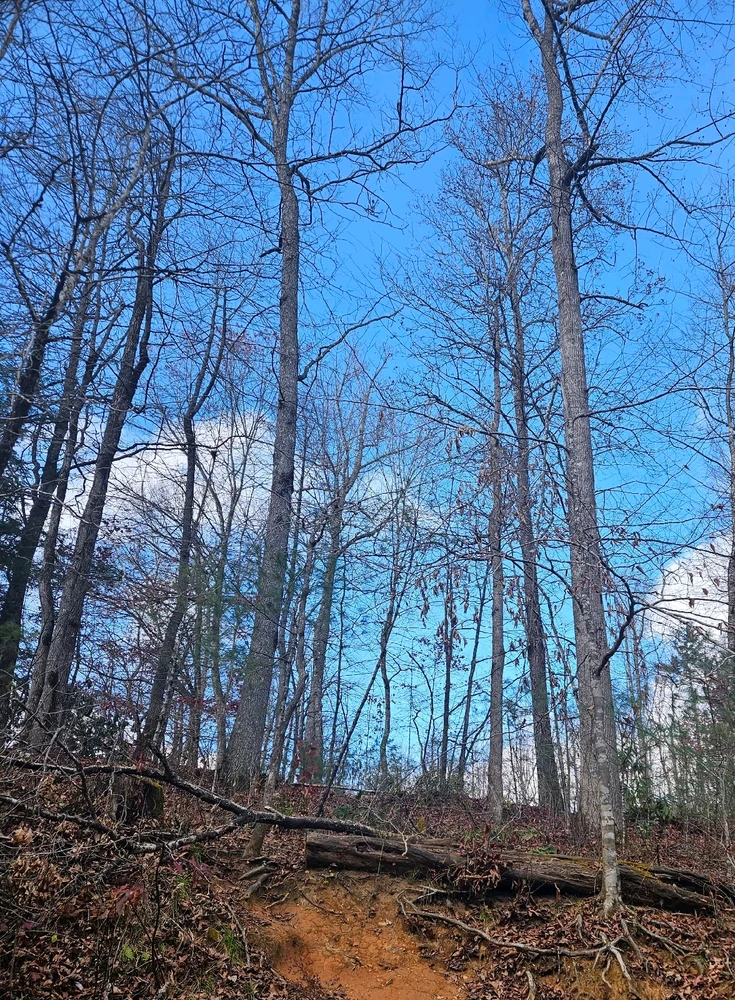 Image uploaded by Madison
