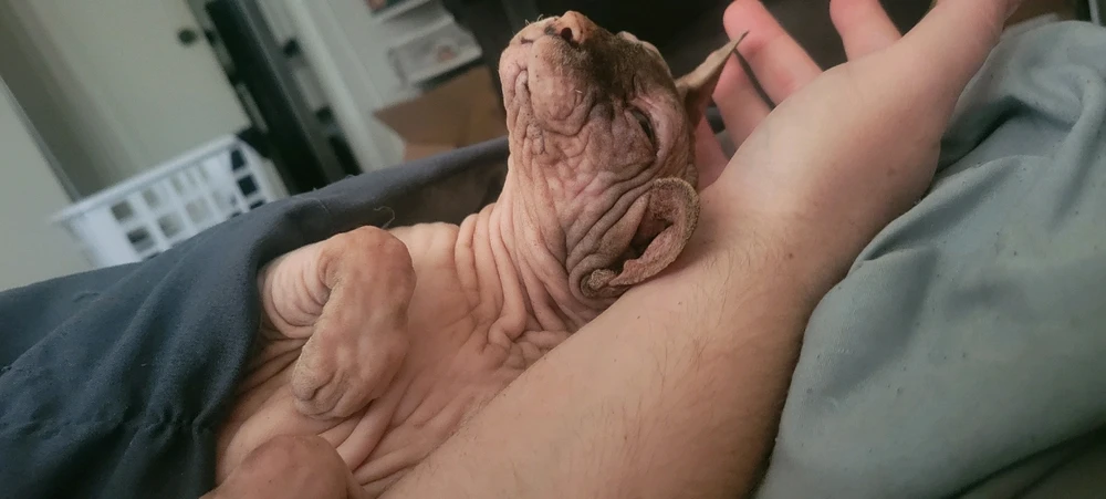 Gambar diunggah dening Robert