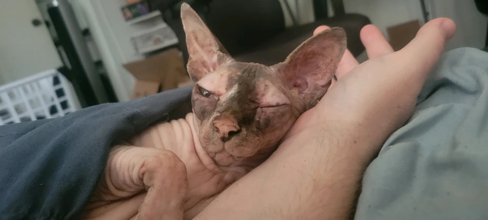 Gambar diunggah dening Robert