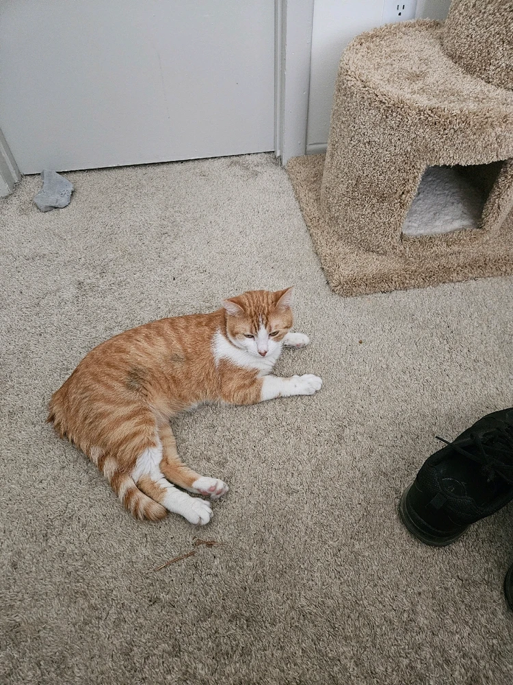 Gambar diunggah dening Gina/Madison