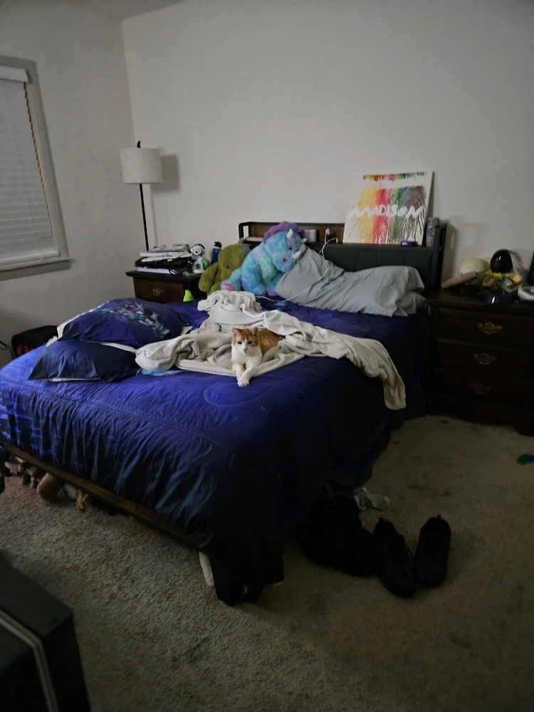 Gambar diunggah dening Gina/Madison