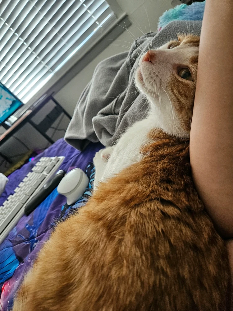 Gambar diunggah dening Gina/Madison