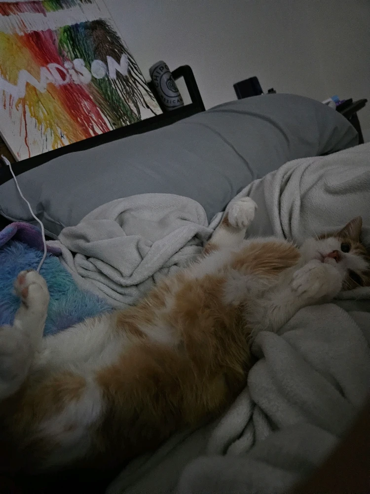 Gambar diunggah dening Gina/Madison