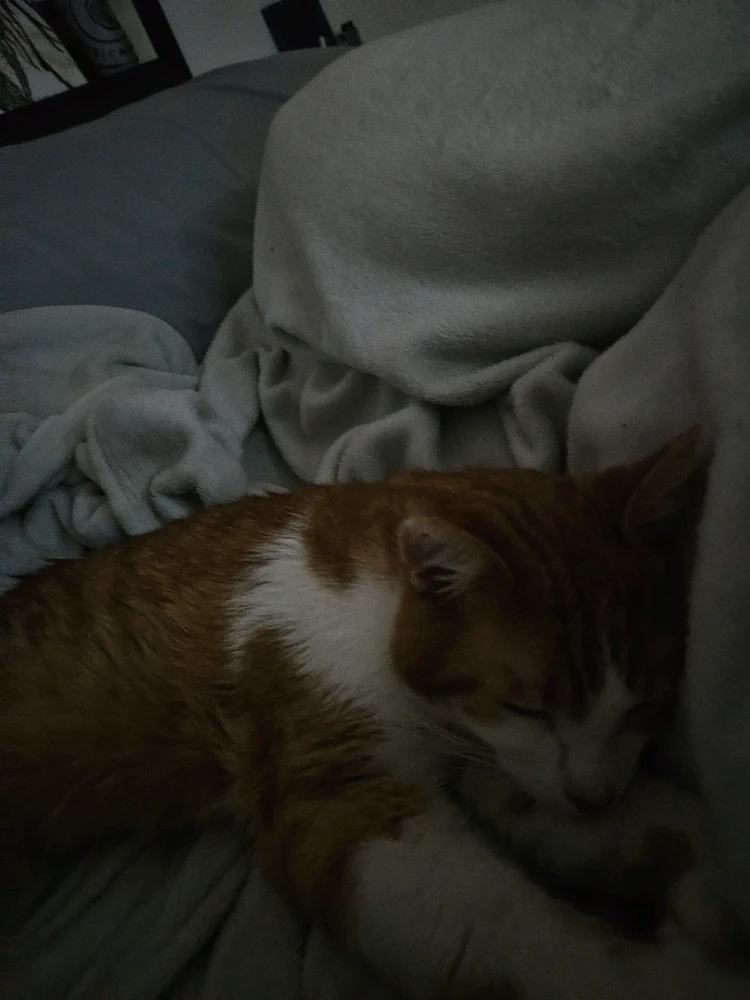 Gambar diunggah dening Gina/Madison