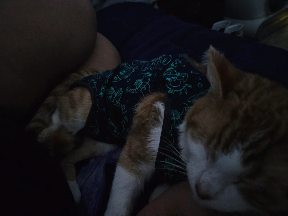 Gambar diunggah dening Gina/Madison