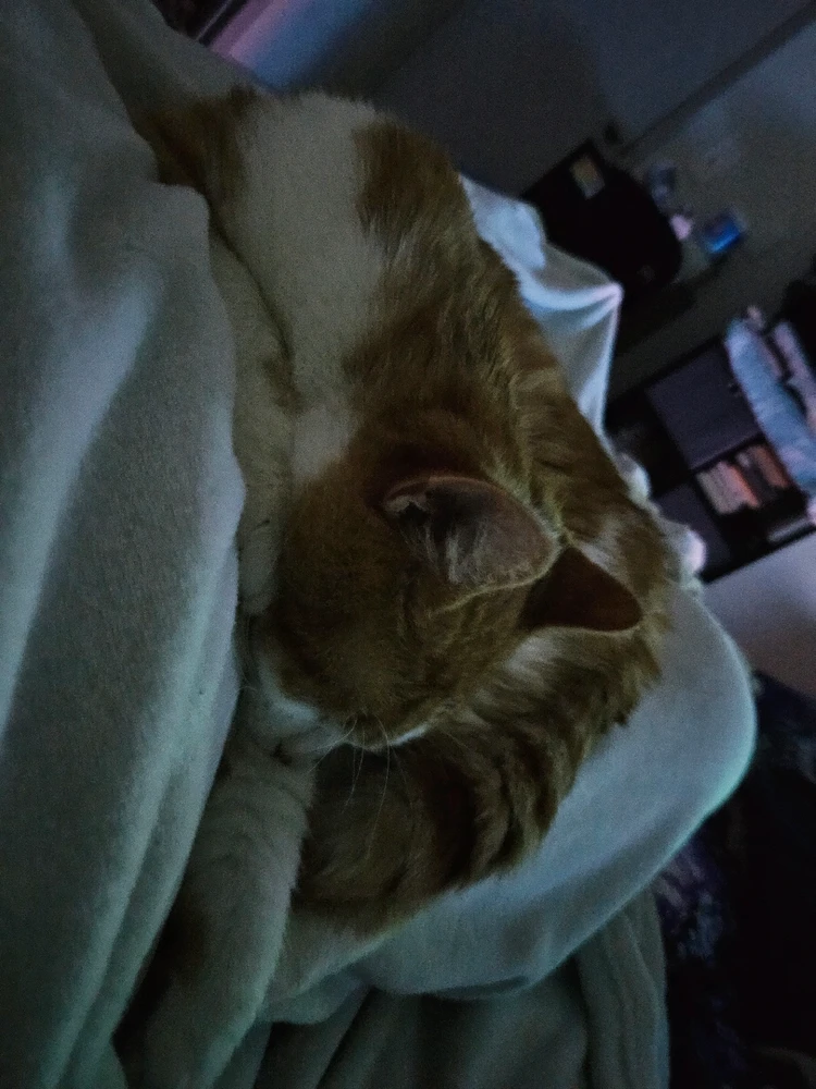 Gambar diunggah dening Gina/Madison