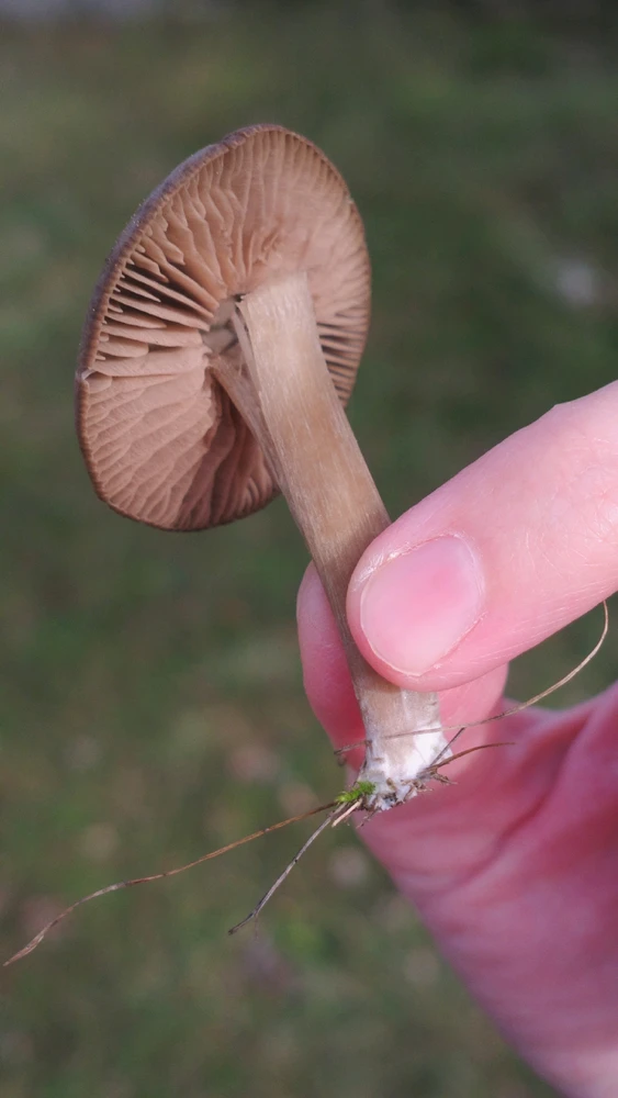 GIF uploaded by Anita