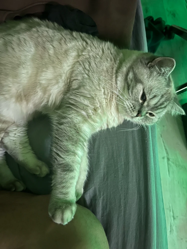 Alperen tarafından yüklenen GIF