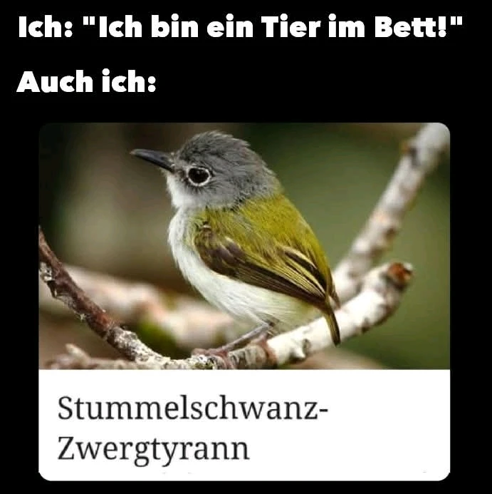 GIF hochgeladen von Anne (aka KuschelBrrrr- zeig mal etwas Wärme!!)