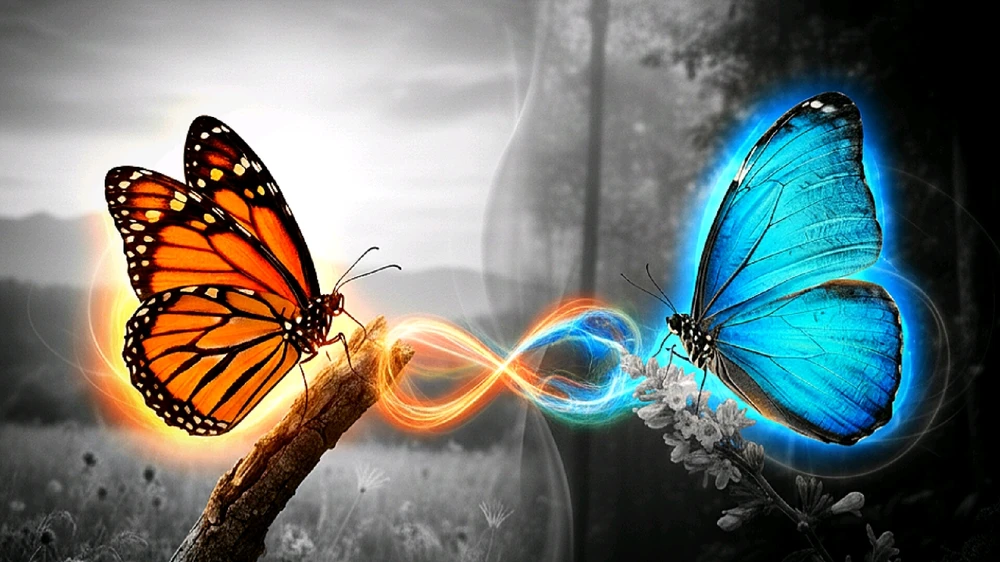 GIF caricata da Alessandro