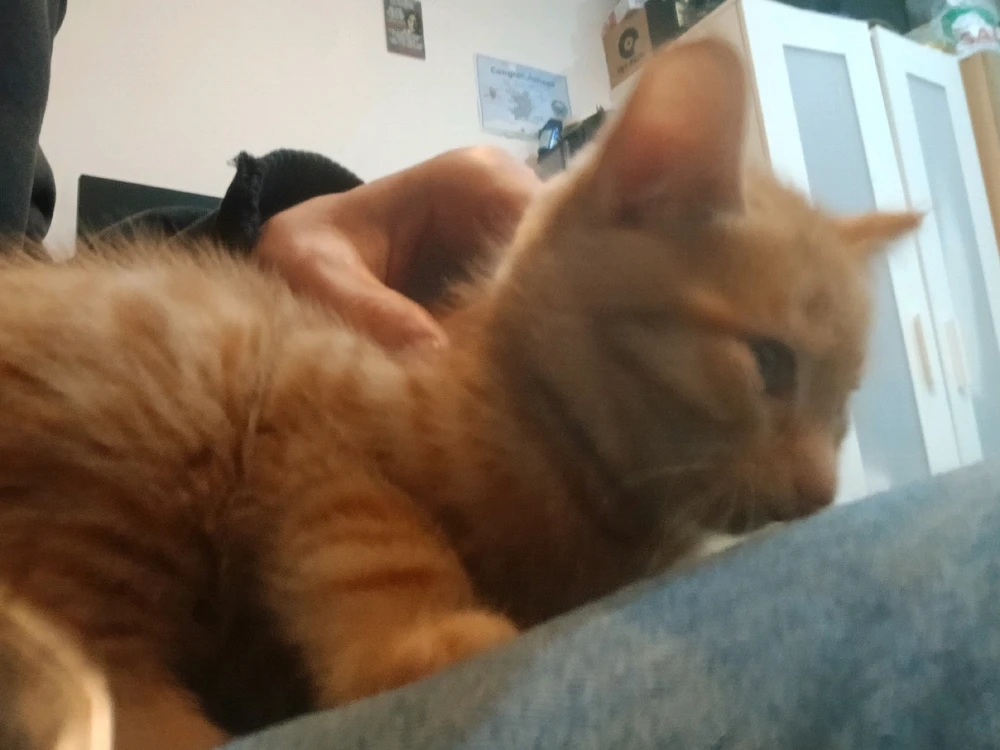 GIF uploaded by Lucas