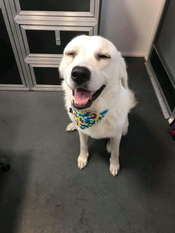 Image uploaded by Lucy