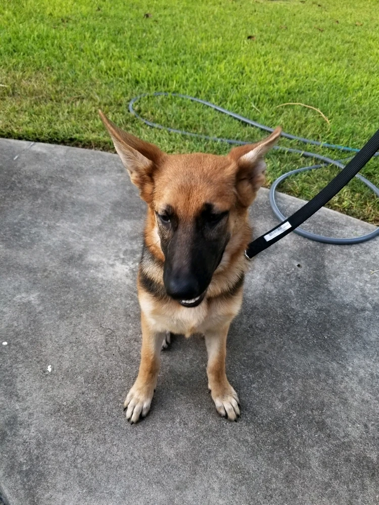 Image uploaded by Lucy