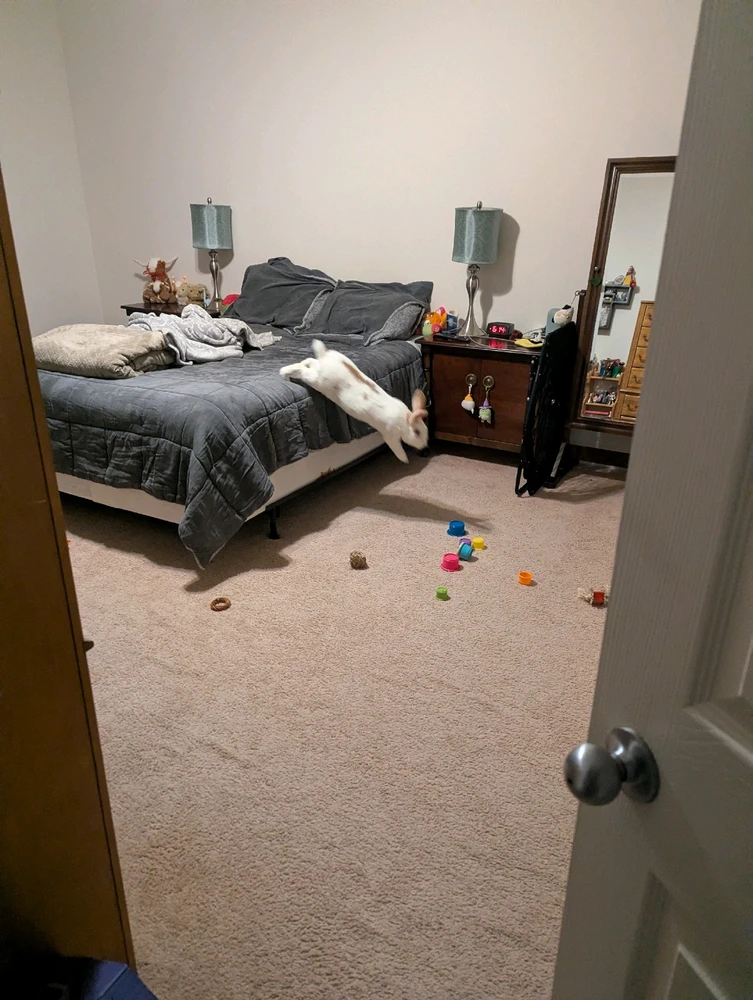 GIF diunggah dening Kaylin