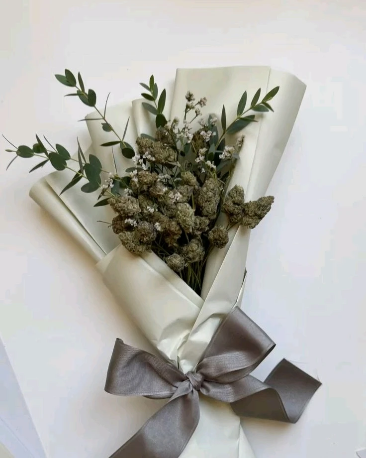 GIF subido por Belén