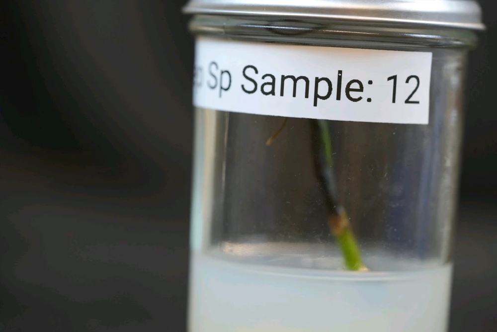 Image uploaded by David