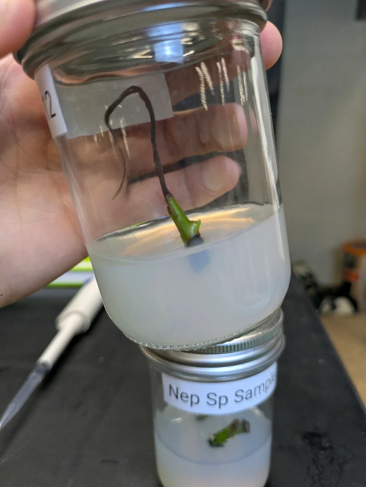 Image uploaded by David