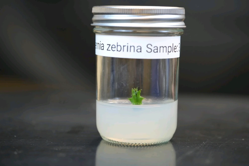 Image uploaded by David