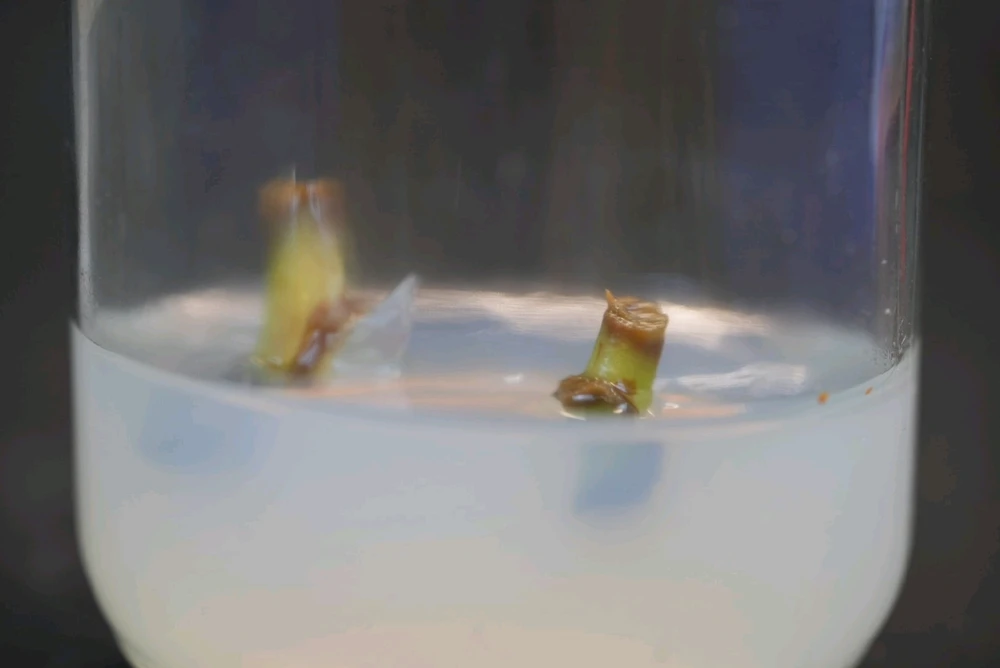 Image uploaded by David