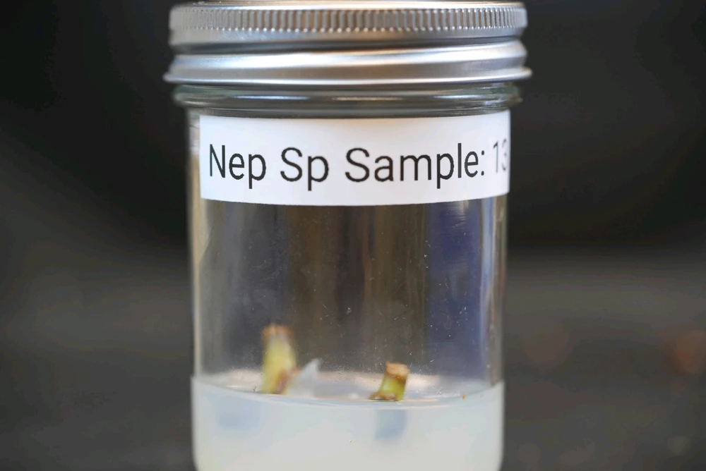 Image uploaded by David