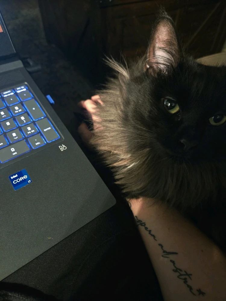 GIF uploaded by Kelly