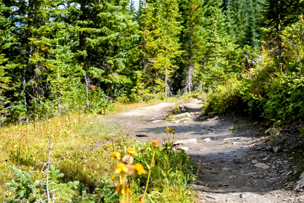 Image uploaded by David