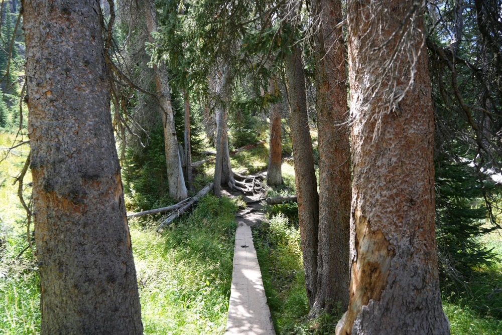 Image uploaded by David