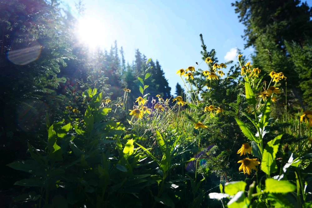 Image uploaded by David