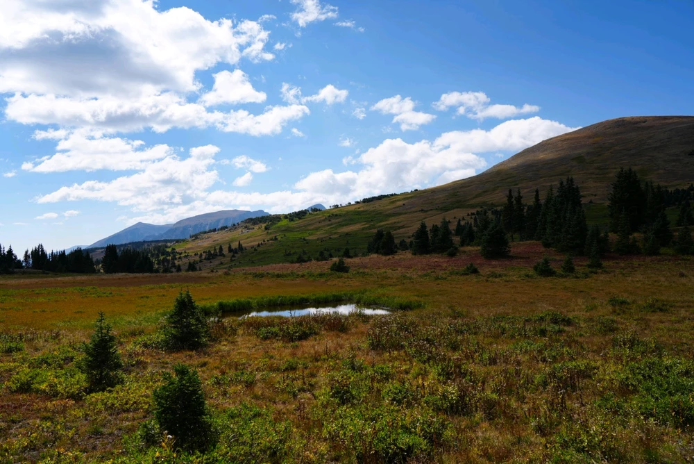 Image uploaded by David