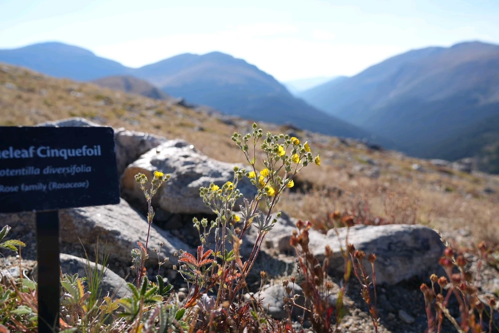 Image uploaded by David