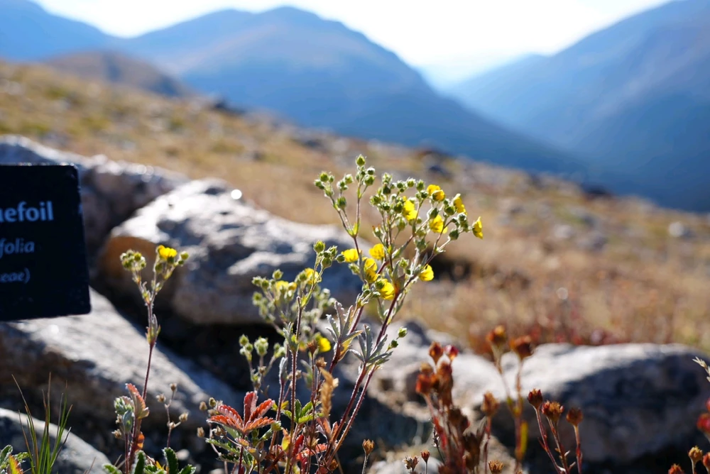 Image uploaded by David