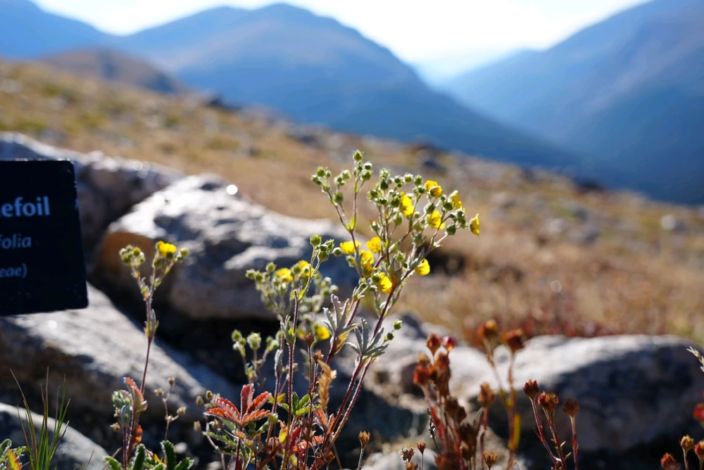 Image uploaded by David