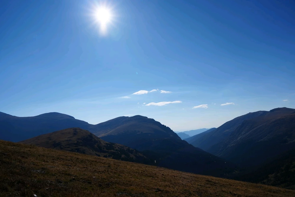 Image uploaded by David