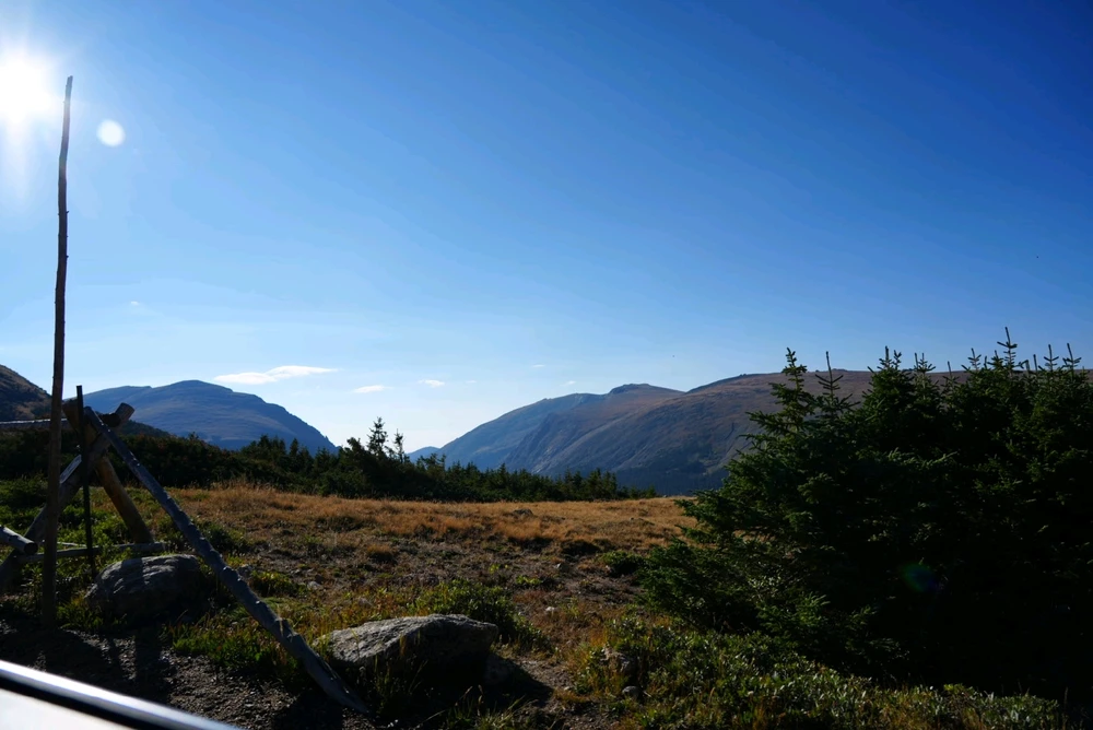 Image uploaded by David