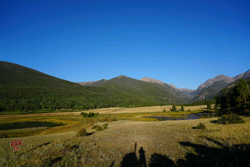 Image uploaded by David